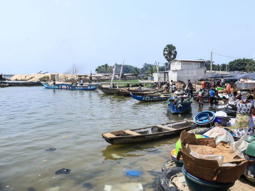 Enquête terrain | Demande et circuits de commercialisation de produits frais issus des filières raisonnée et biologique à Abidjan, Côte d’Ivoire